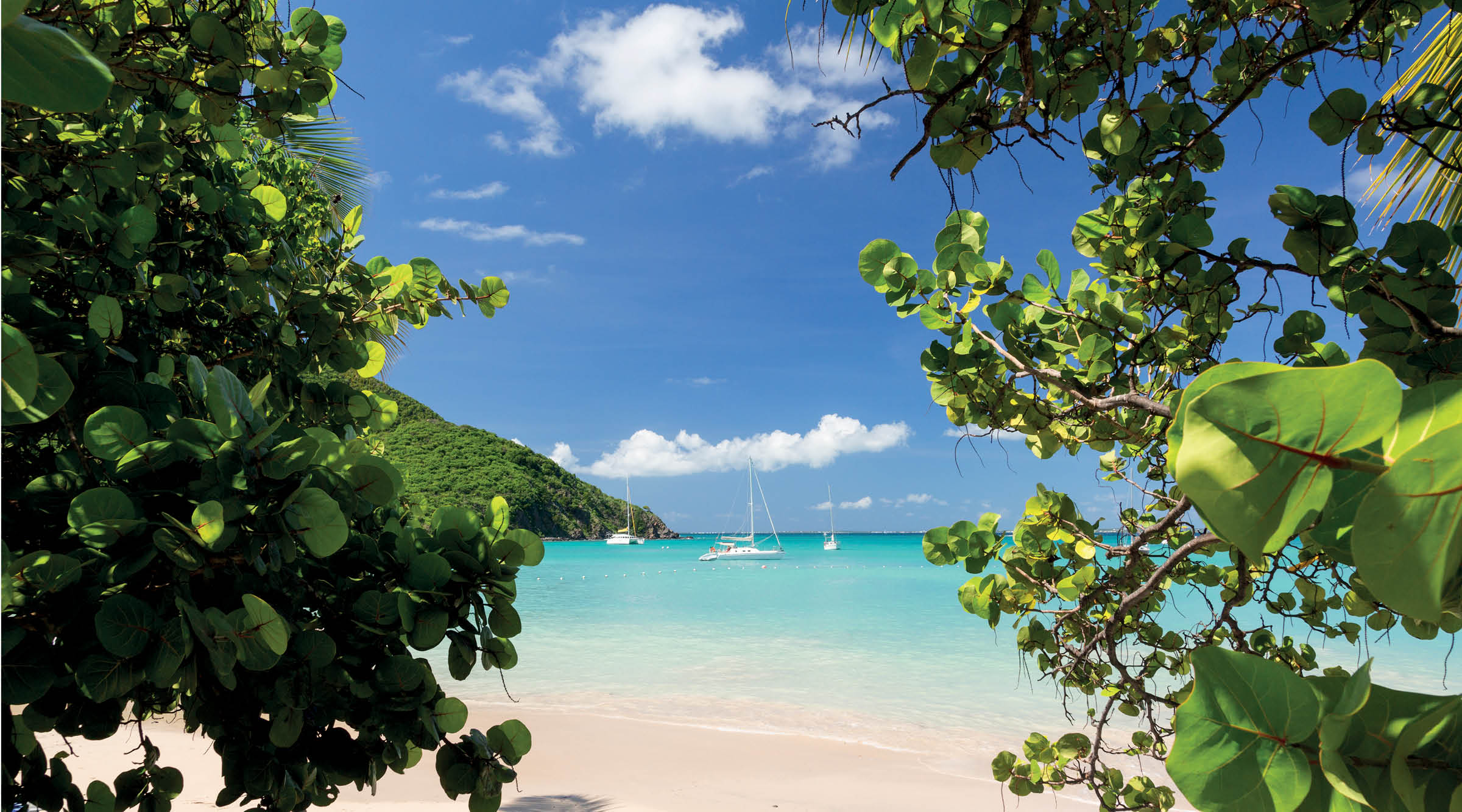 Ocean Point Stay & St Maarten Sail