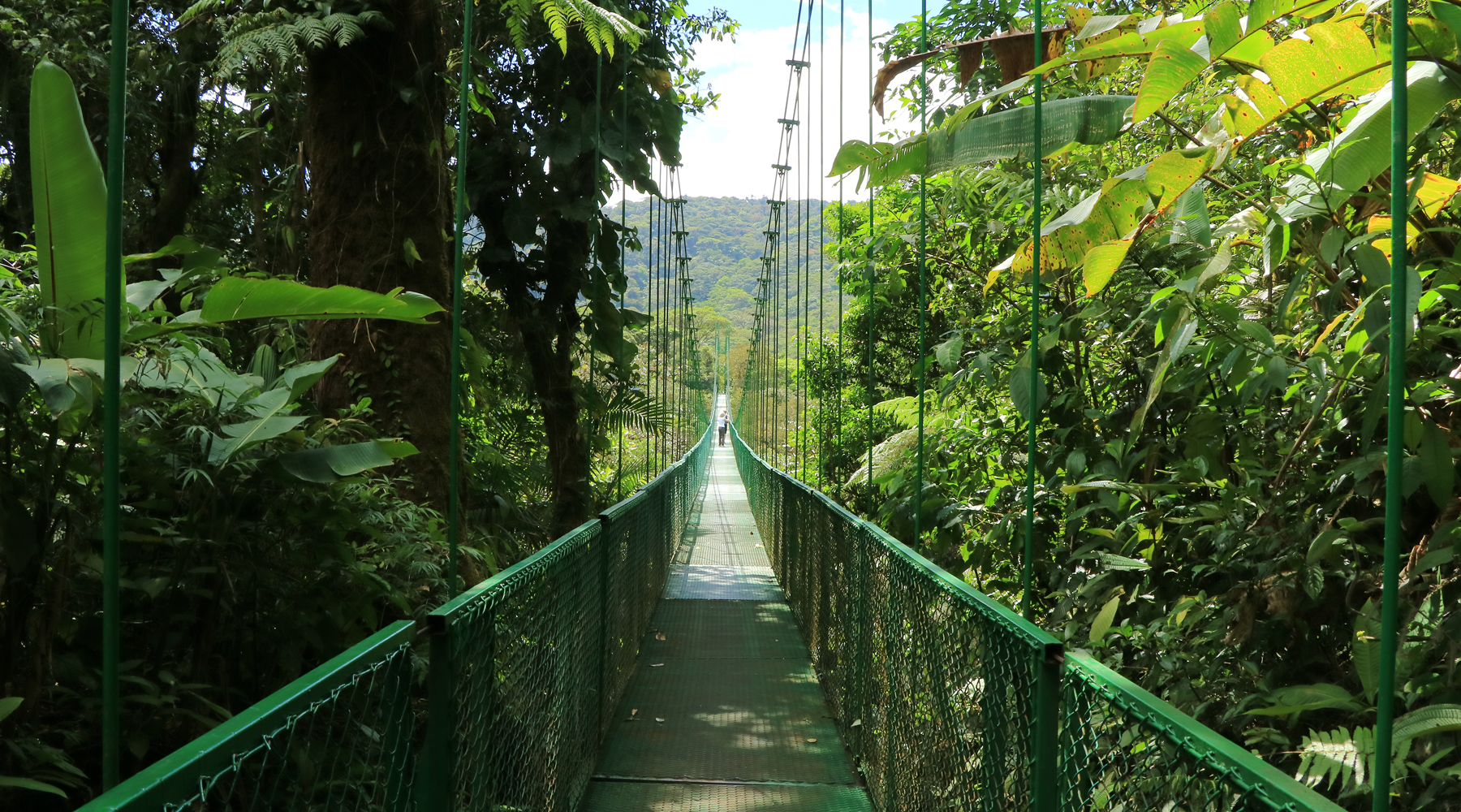 Costa Rica Highlights