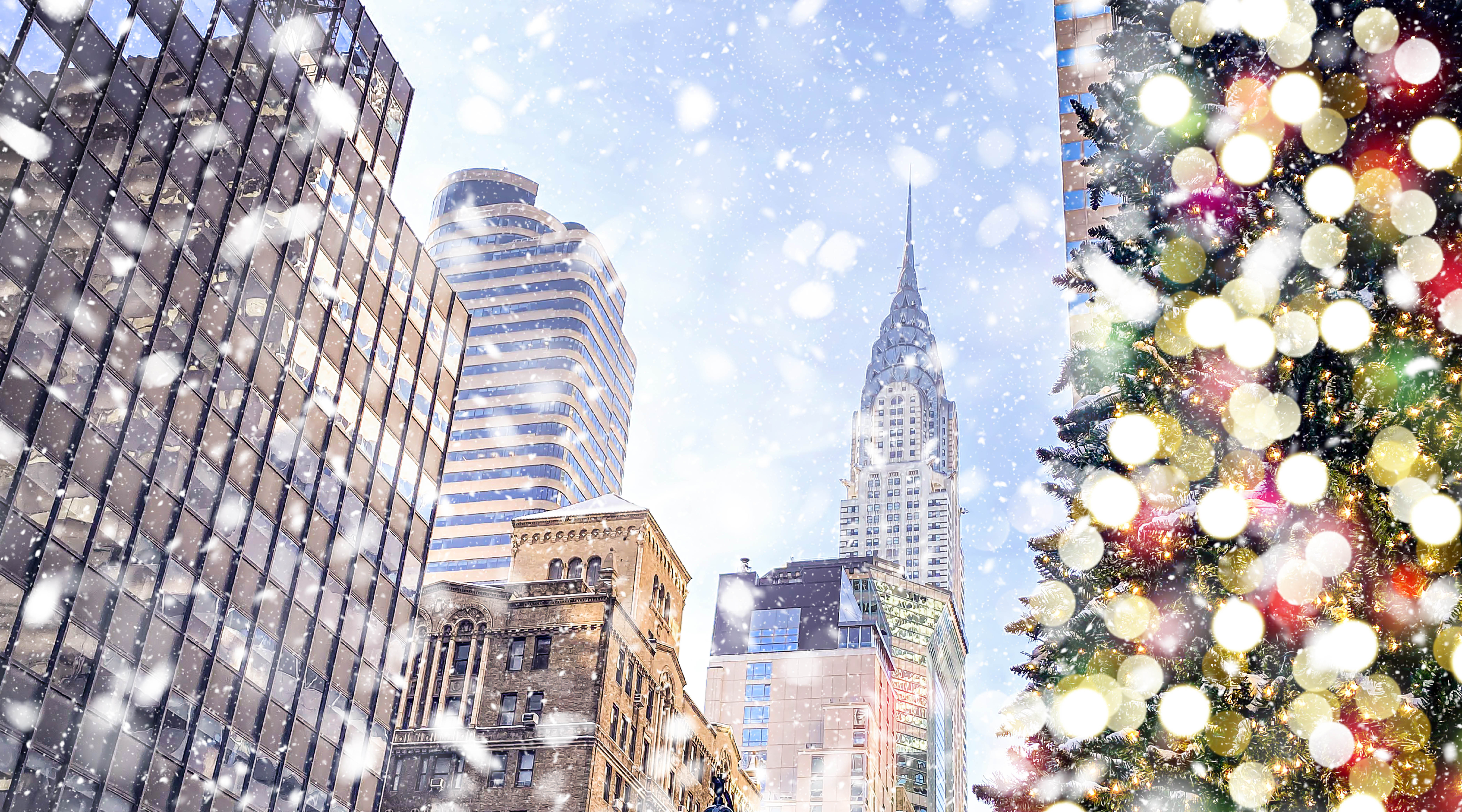 New York Stay & Christmas Caribbean Sail