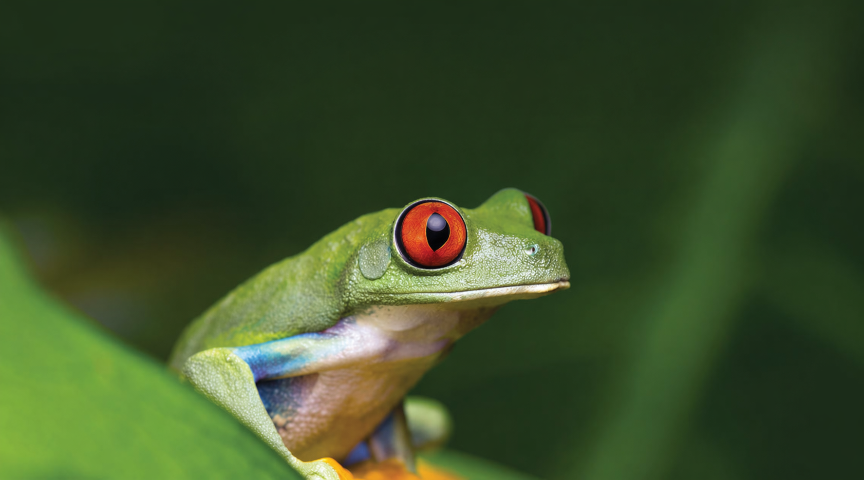 Discover Costa Rica